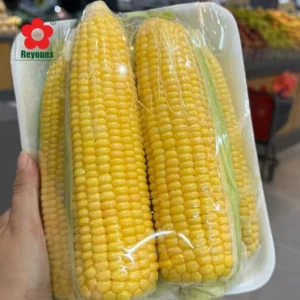 Lõi màng bọc thực phẩm 45cm