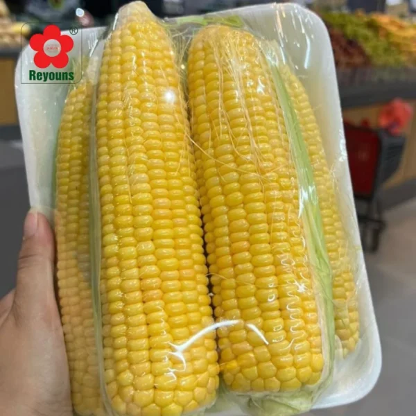 Lõi màng bọc thực phẩm 45cm