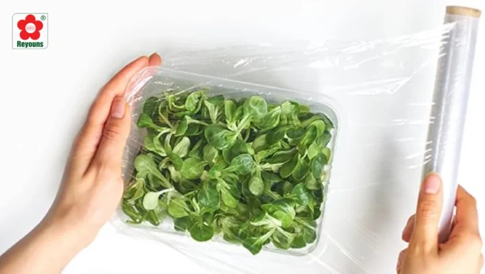 Sự thật màng bọc thực phẩm có hấp được không? Đừng bỏ lỡ