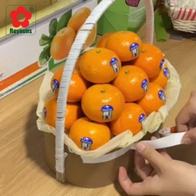 Màng bọc giỏ hoa quả, trái cây, quà Tết