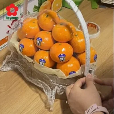 Màng bọc giỏ hoa quả, trái cây, quà Tết