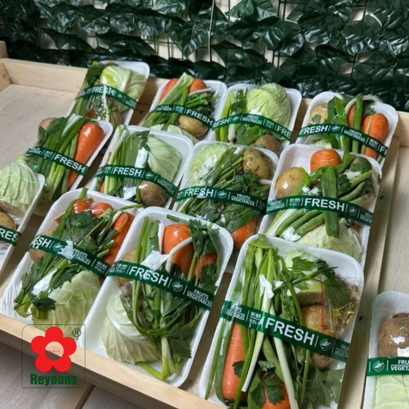 Màng bọc thực phẩm tiếng Anh là gì? Các ví dụ hay, dễ hiểu
