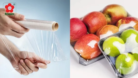 Màng bọc thực phẩm tiếng Anh là gì? Các ví dụ hay, dễ hiểu