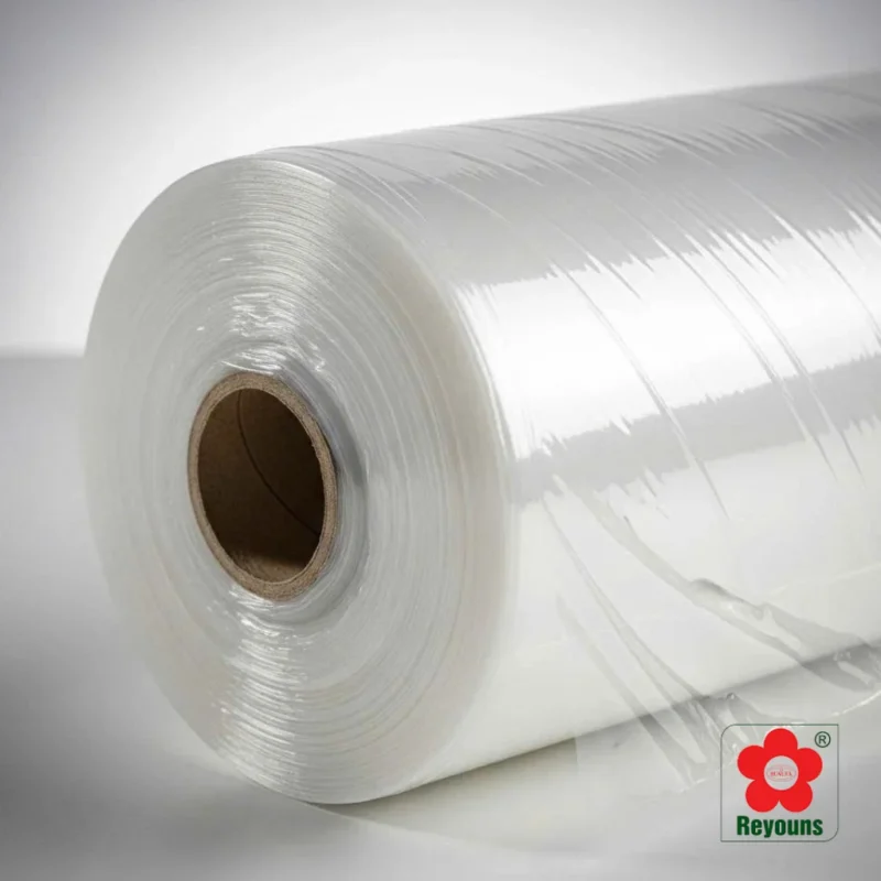 Cách bọc sách bằng màng bọc thực phẩm đơn giản, nhanh gọn tại nhà