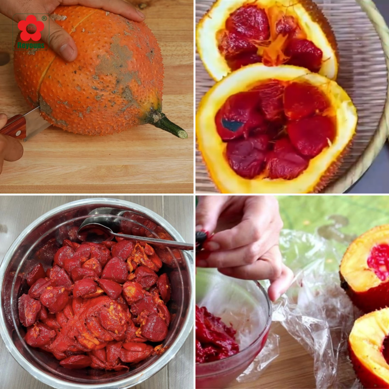 Cách làm dầu gấc bằng dầu ăn tại nhà đơn giản, ai cũng làm được