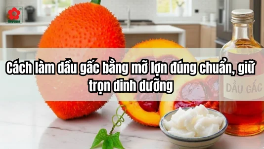Cách làm dầu gấc bằng mỡ lợn đúng chuẩn, giữ trọn dinh dưỡng