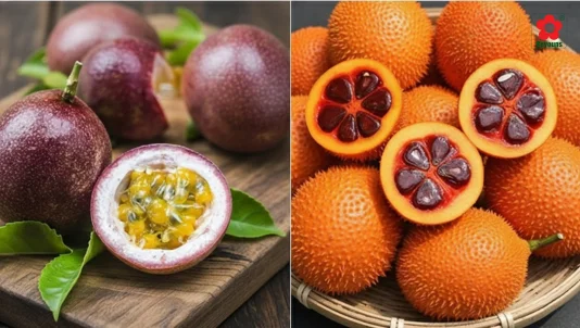 Cách làm gấc chanh leo đường phèn cô đặc tại nhà dễ làm, để được lâu