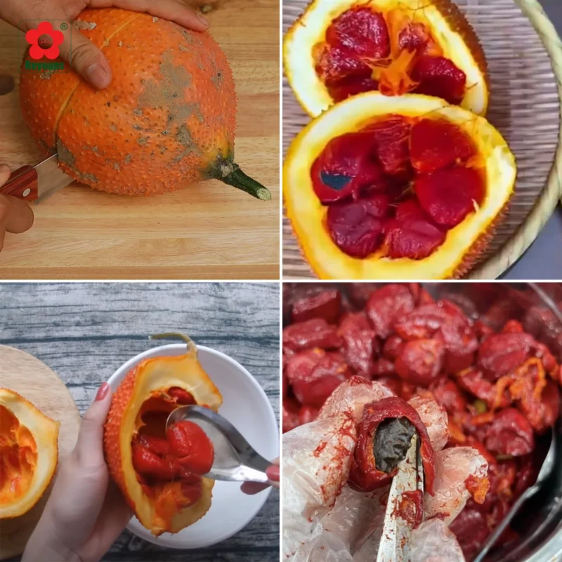 Cách làm gấc chưng đường phèn đơn giản tại nhà, dễ làm mà bổ dưỡng