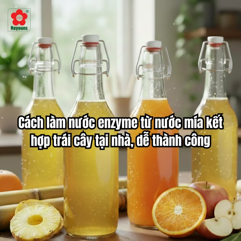 Cách làm nước enzyme từ nước mía kết hợp trái cây tại nhà, dễ thành công