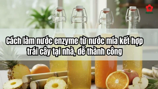 Cách làm nước enzyme từ nước mía kết hợp trái cây tại nhà, dễ thành công