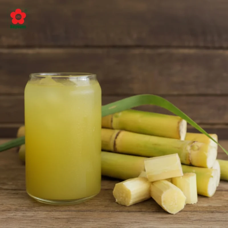 Cách làm nước mía lên men đơn giản tại nhà, tốt cho sức khỏe