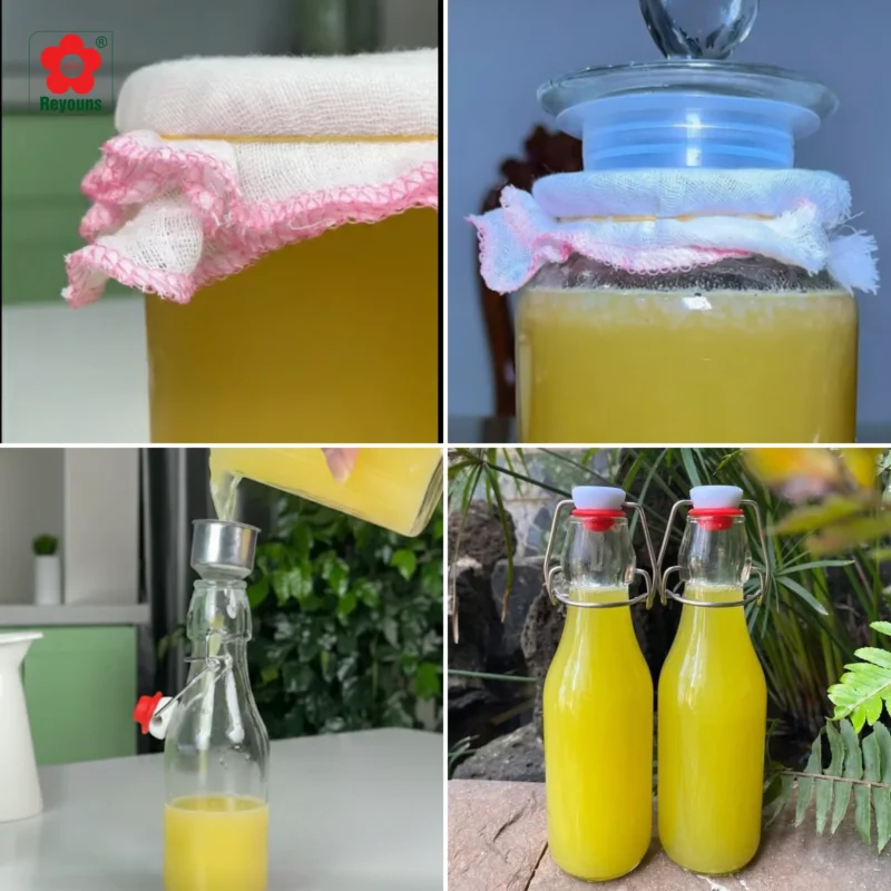 Cách làm nước mía lên men đơn giản tại nhà, tốt cho sức khỏe