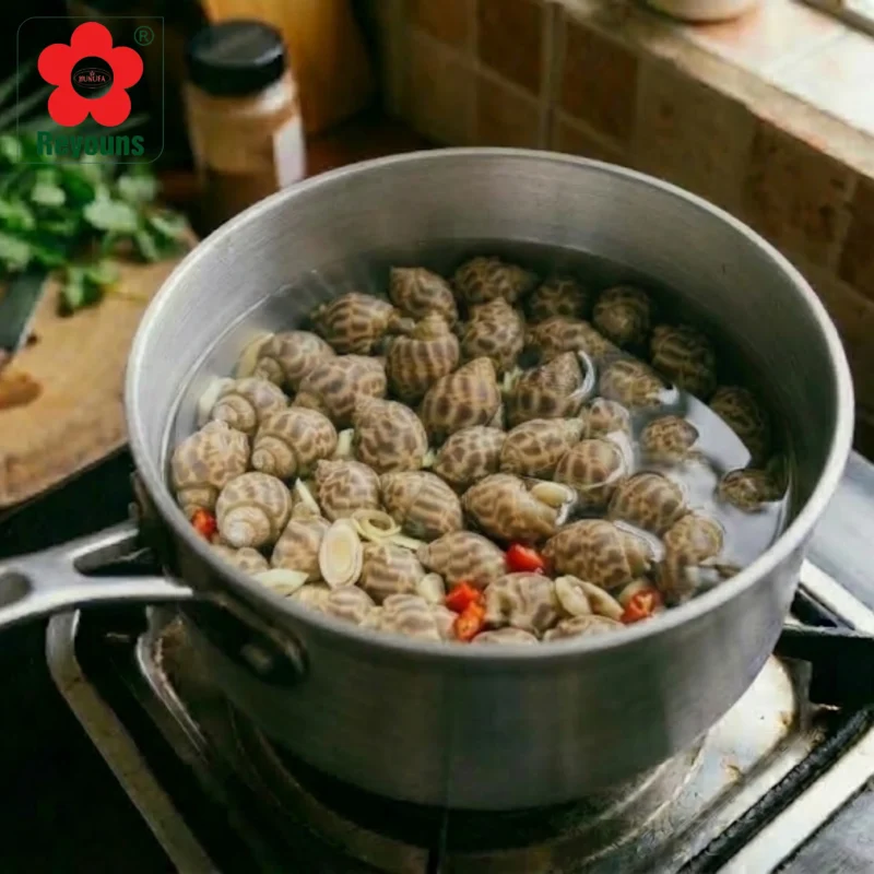 Cách luộc ốc hương không bị đứt ruột đơn giản, giữ được vị ngọt tự nhiên