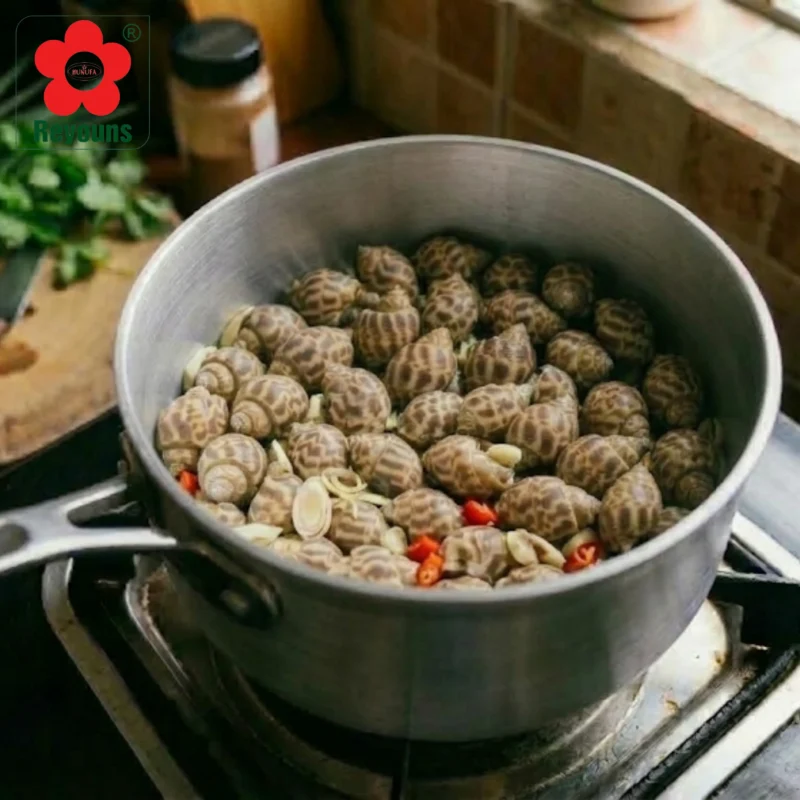 Cách luộc ốc hương không bị đứt ruột đơn giản, giữ được vị ngọt tự nhiên