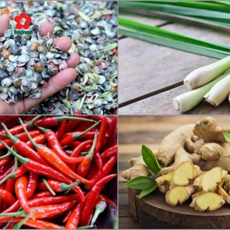 Cách luộc ốc ruốc không bị thụt dễ làm, ai cũng thành công