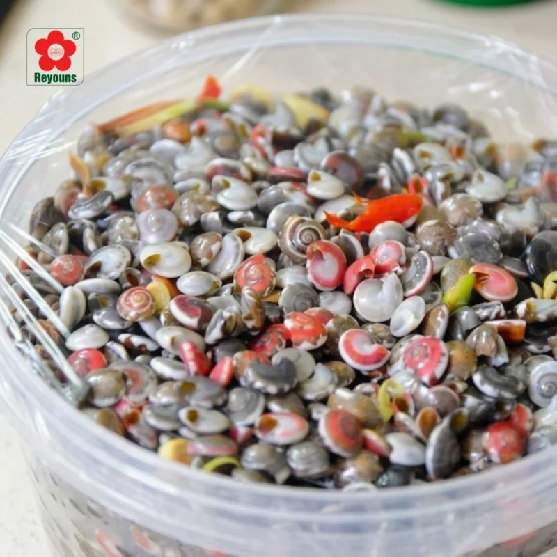 Cách luộc ốc ruốc không bị thụt dễ làm, ai cũng thành công