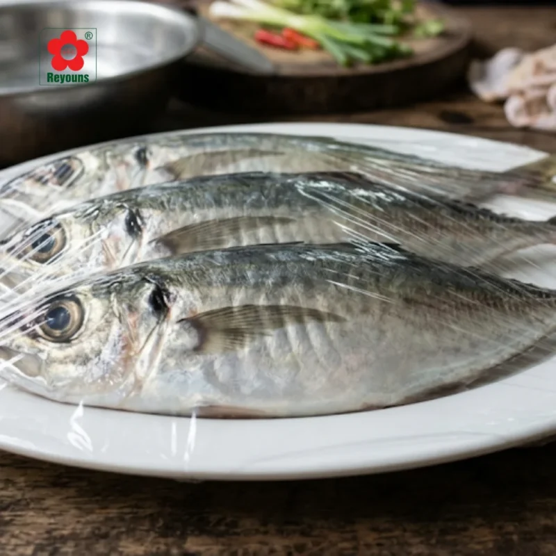 Màng bọc thực phẩm Phú Đạt bền dẻo, tiện lợi và an toàn khi dùng hằng ngày